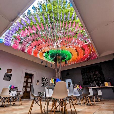 Bkl Hotel Oaxaca מראה חיצוני תמונה
