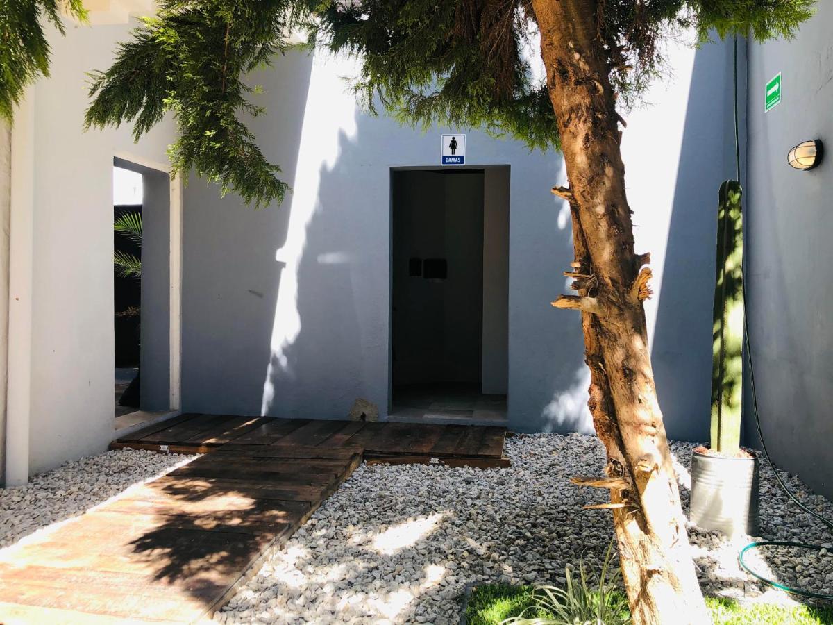Bkl Hotel Oaxaca מראה חיצוני תמונה