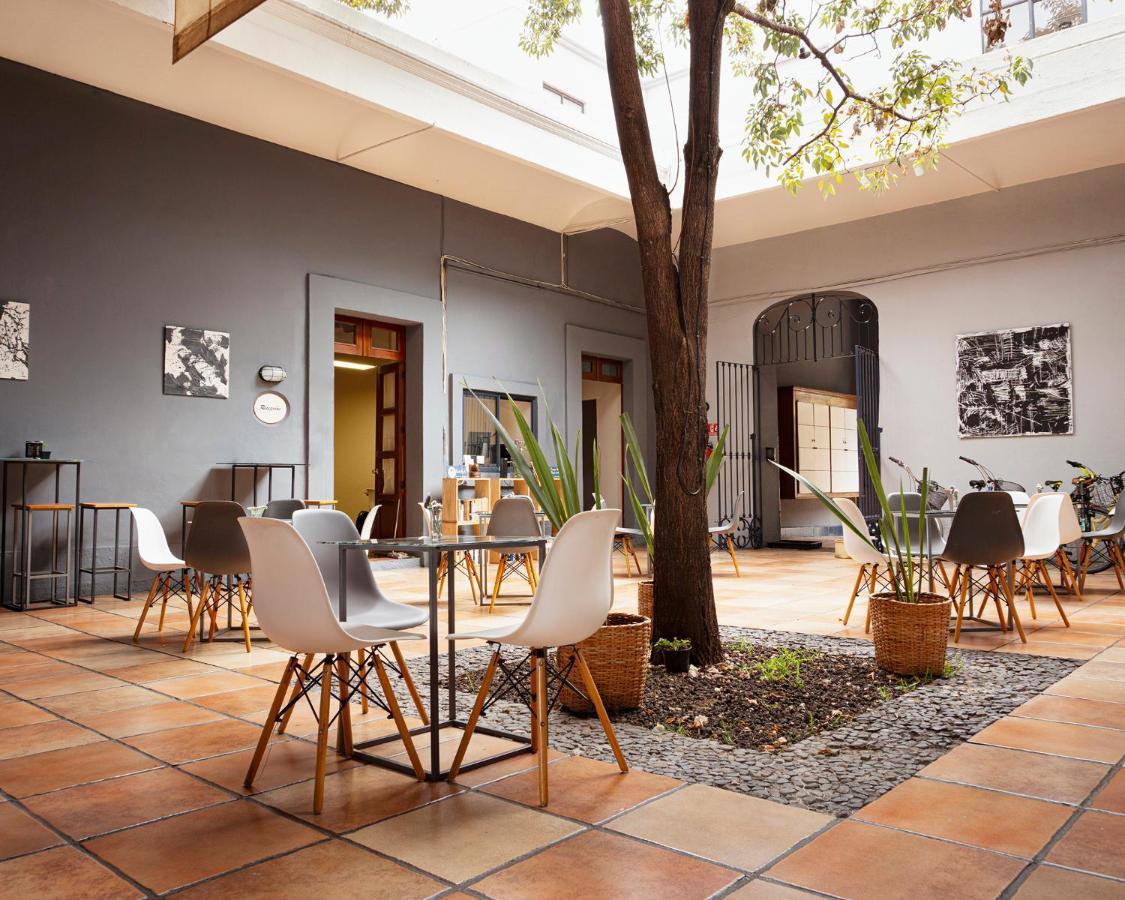 Bkl Hotel Oaxaca מראה חיצוני תמונה